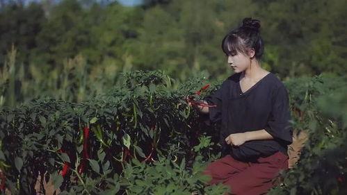 李子柒图片,李子柒的静谧生活画卷