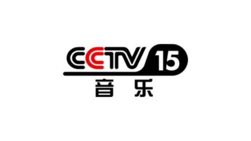 cctv央视频道,解码中国电视新闻传播的力量