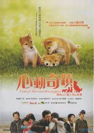 心动奇迹 国语,跨越时空的浪漫邂逅